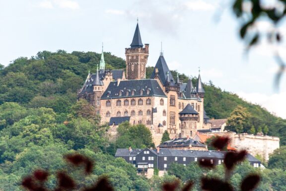 A picturesque view of Wernigerode Castle, perched on a hill surrounded by lush greenery, with blurred flowers in the foreground.