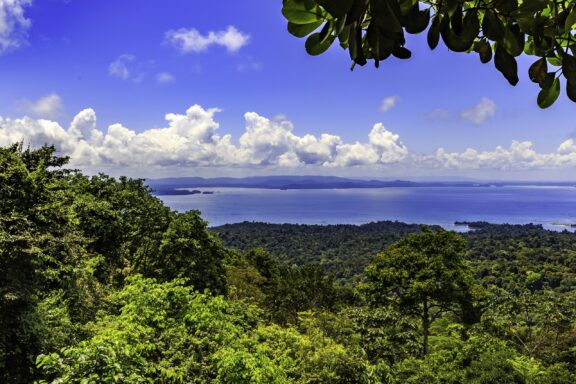 A picturesque view of Lake Brokopondo in Suriname, with vibrant greenery and a vast blue lake under a semi-cloudy sky.