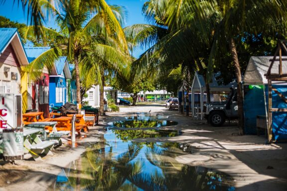 A colorful street scene in Barbados with tropical palm trees, vibrant buildings, and a clear blue sky.