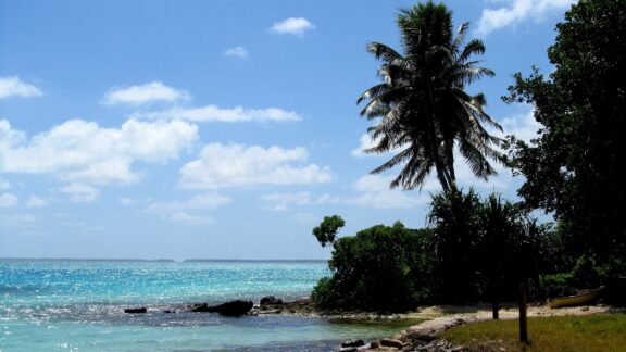 A tropical beach scene on Fanning Island, Kiribati, featuring a clear blue sky, turquoise ocean waters, a sandy shore, and a tall palm tree.