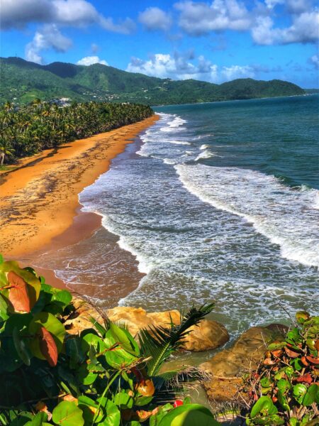 A scenic coastal beach in Maunabo, Puerto Rico, featuring lush greenery, palm trees, mountains, and gentle waves.