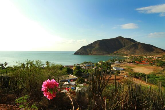 A scenic view of Nueva Esparta with a coastal landscape, a mountain in the background, clear skies, and some vegetation in the foreground.