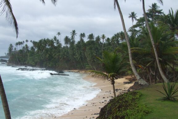 A tropical beach with palm trees and rough waves on São Tomé and Príncipe, Ilhéu das Rolas.