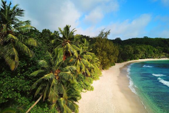 A tropical beach in Seychelles with lush green palm trees on the left and clear blue water on the right, under a partly cloudy sky.