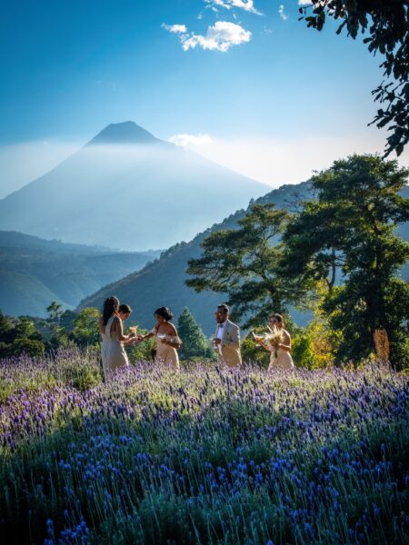 A Guatemalan wedding photo shoot features formally dressed people dancing in a purple flower field with a volcano backdrop.