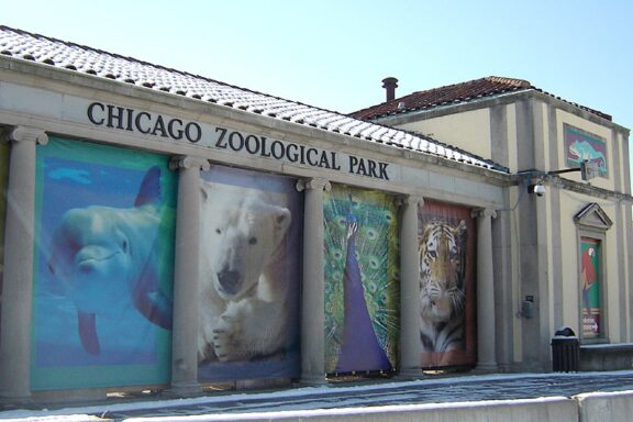 Entrance of Brookfield Zoo with banners featuring animals, text "Chicago Zoological Park" visible, clear sky.