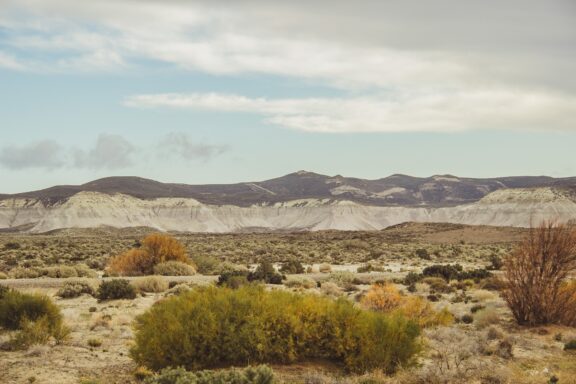 A landscape of the Patagonian Desert in Argentina, featuring arid terrain with sparse vegetation and distant hills under a hazy sky.