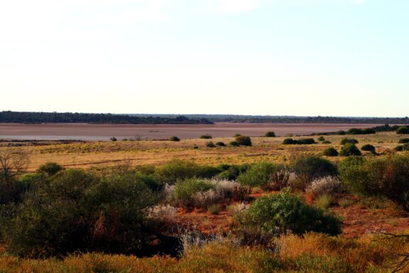 The Serpentine Lakes in the Great Victoria Desert are depicted with sparse vegetation and a vast, arid landscape under a clear sky.