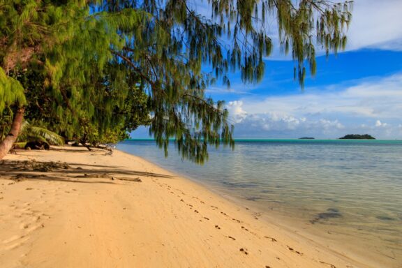 A tranquil beach scene in Palau with clear blue skies, calm turquoise waters, golden sand, and lush green foliage overhanging on the left.