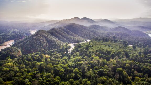 Aerial view of Nam Cat Tien National Park, showcasing lush green forest canopy with rolling hills and a winding river.