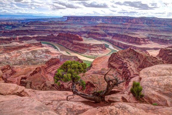 A scenic view of Dead Horse Point, Utah, with a canyon, river, rock layers, vegetation and a dead tree under a semi-cloudy sky.