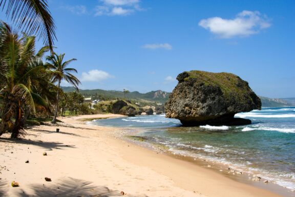 A Barbados beach features a rock formation, palm trees, and the Caribbean Ocean under a clear sky.