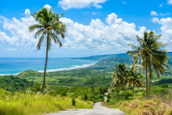 Cherry Tree Hill offers a scenic view of Barbados' tropical coastline, lush greenery, palm trees, and a clear blue sky.