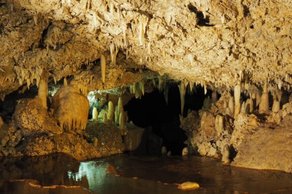 An image of Harrison's Cave in Barbados, showing the interior with stalactites and a pool of water.