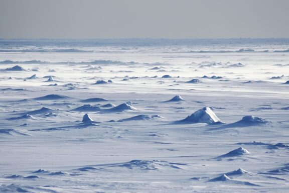 A large, gently rolling Antarctic snowfield, predominantly blue and white, implies a cold, serene setting.