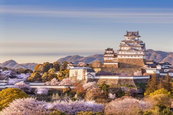 Japan Himeji castle , White Heron Castle in beautiful sakura cherry blossom season.