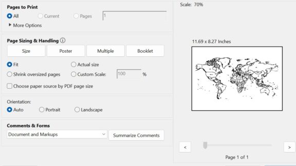 Screenshot of the print dialogue box in Adobe Reader.