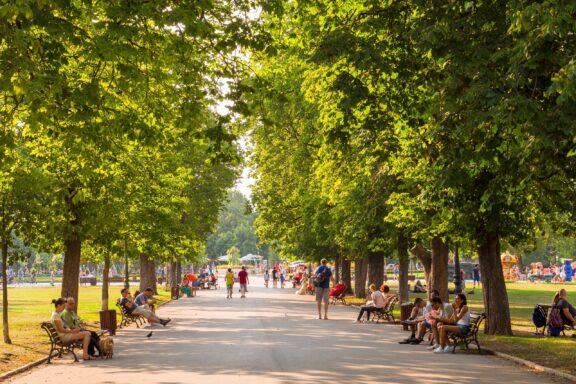 Summer Day in a Tree-Lined Park Pathway Borisova Gradina Park in Sofia