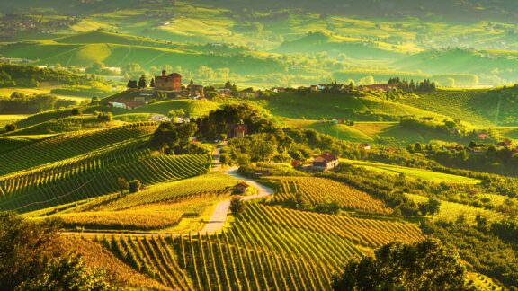 A view of Langhe Vienyards at sunset