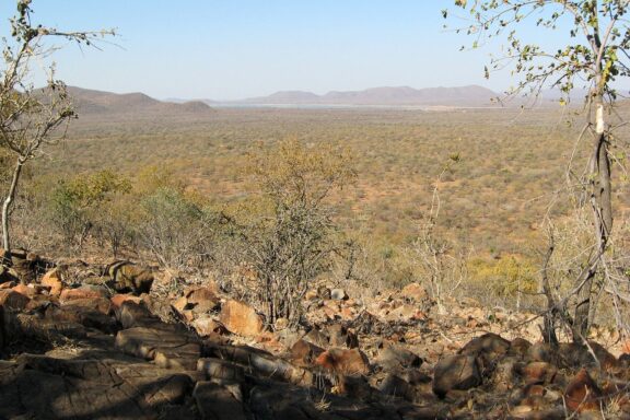 Savanna Landscape at Mokolodi Nature Reserve Mokolodi Nature Reserve established in 1994 by the Mokolodi Wildlife Foundation