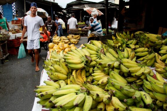 Salvador bahia / brazil april 18 2013: bananas fruits