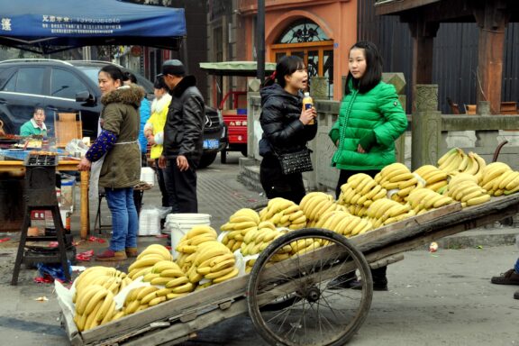 PENGZHOU, CHINA: Vendor selling bananas displayed on a long wooden flatbed cart