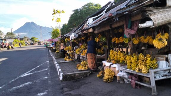 Banana fruit stalls in the Yogyakarta province, Indonesia.