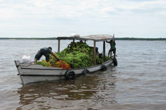 Bananas delivery by boat to the banana market in Manaus, Amazon - Brazil.