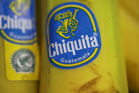 The Chiquita brand on a banana from Guatemala. 