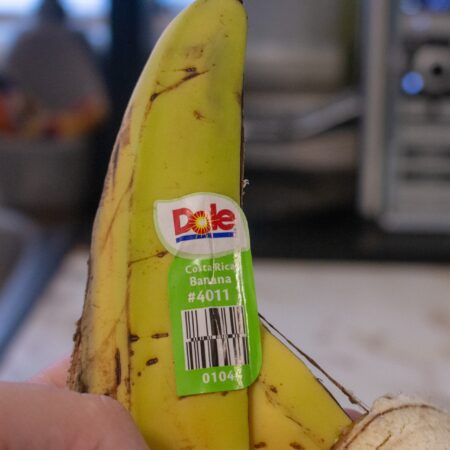 Banana peel that has a Dole sticker that says Costa Rica grown banana.