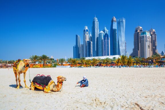 The camels on famous Jumeirah beach and skyscrapers in the backround, Dubai, United Arab Emirates.