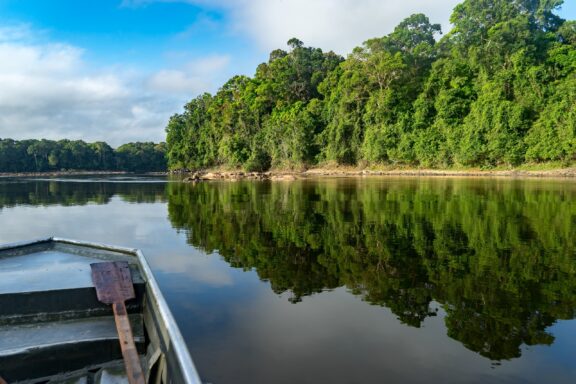 Boat on the Essequibo River with Lush Greenery Essequibo river trip views around guyana s interior and rainforest