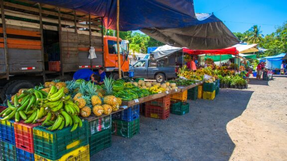 Farmer's Market, Jaco Beach, Costa Rica.