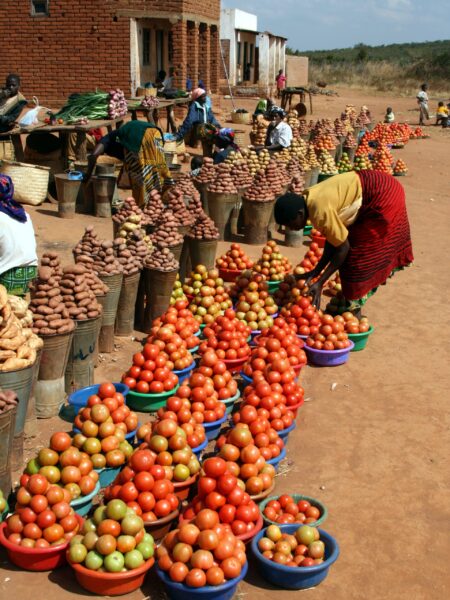 Vibrant Outdoor Food Market in Malawi A woma stacks tomatoes at a food market in Malawi, one of the safest places to visit in Africa.