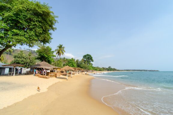 A dog walks along a sandy beach in Lakka, Sierra Leone.