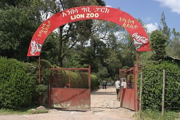 Lion Zoo Entrance Archway Entrance to the Lion Zoo in Addis Ababa