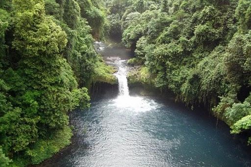 Tropical Waterfall and Pool in Lush Forest Waterfall in Luba biodiversity hotspot