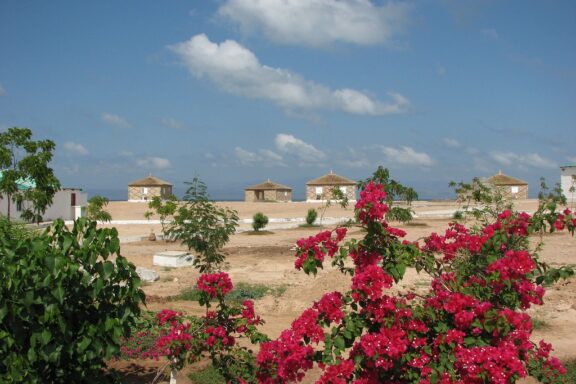 Tropical Island Resort with Blooming Flowers Moucha Island near Djibouti