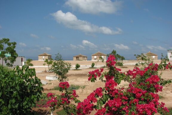 Moucha Island near Djibouti