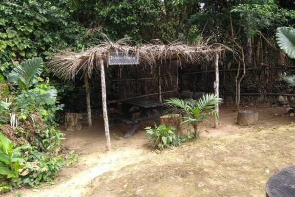 Thatched Roof Shelter in Tropical Forest Visitor's welcome box in Parc de la Mefou
