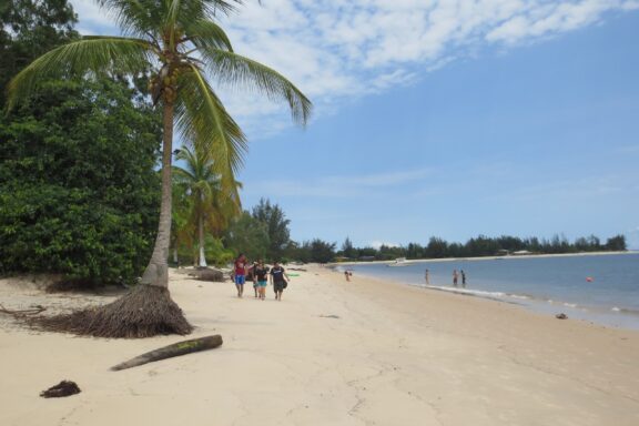 Tropical Beach with Palm Trees and People Walking Pointe-Denis Beach - a popular retreat located a short boat ride from Libreville