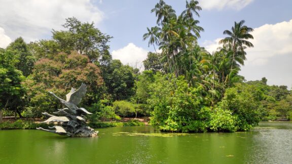 Swan Sculptures Emerging from a Tranquil Lake Surrounded by Lush Greenery A sculpture of swans in flights is on display at Swan Lake in the Singapore Botanic Gardens.