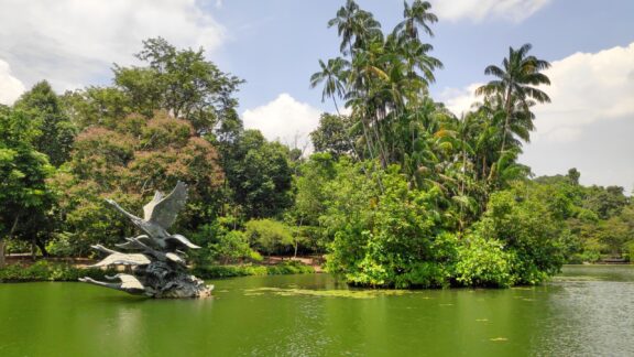 A sculpture of swans in flights is on display at Swan Lake in the Singapore Botanic Gardens. 