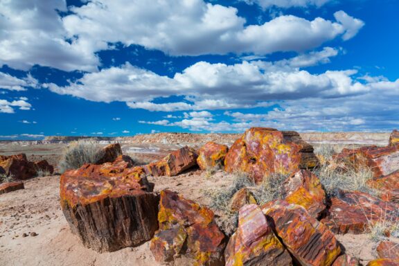 Petrified wood lies in piles in Arizona’s Petrified Forest National Park.