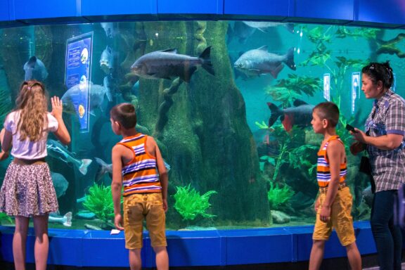 Family Observing Fish at an Aquarium Exhibit Aquarium inside Ailand