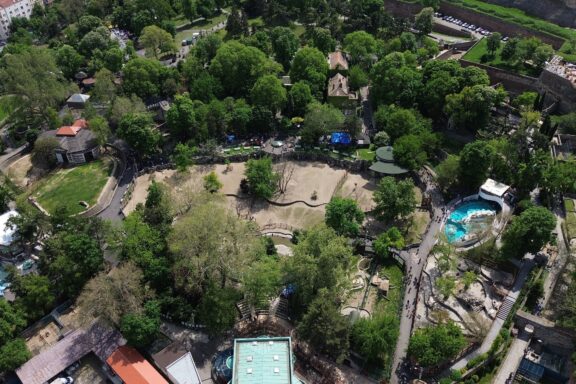 Belgrade Zoo, founded in 1936, it is one of the oldest zoological gardens in Europe