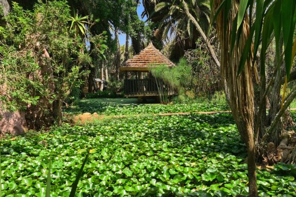 The exotic gardens of Bouknadel in Rabat