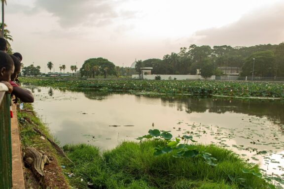 Artificial Crocodile Lake in Yamoussoukro