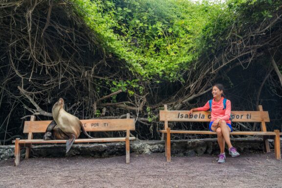 A sea lion and tourist look at each other from adjacent benches on Isabela Island.