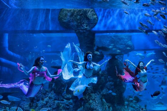 Mermaid Performers in an Aquarium Mermaid shows at the Jakarta Aquarium & Safari